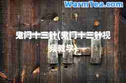 鬼门十三针(鬼门十三针视频教学)