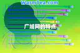 广域网的特点