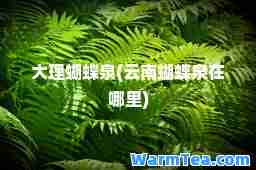 大理蝴蝶泉(云南蝴蝶泉在哪里)