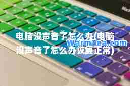 电脑没声音了怎么办(电脑没声音了怎么办恢复正常)