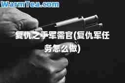 复仇之手军需官(复仇军任务怎么做)