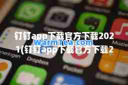 钉钉app下载官方下载2021(钉钉app下载官方下载2023)