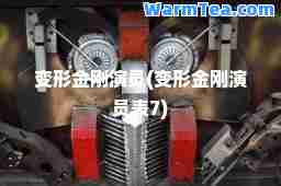 变形金刚演员(变形金刚演员表7)