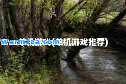 单机游戏(单机游戏)