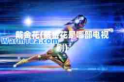 戴金花(戴金花是哪部电视剧)