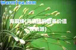 海麻线(海麻线的营养价值及功效)