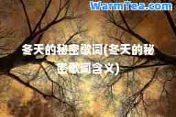 冬天的秘密歌词(冬天的秘密歌词含义)