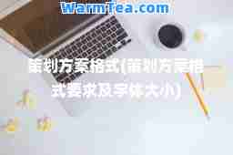 策划方案格式(策划方案格式要求及字体大小)