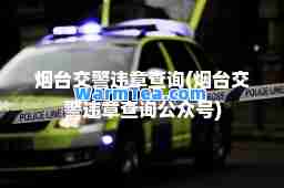 烟台交警违章查询(烟台交警违章查询公众号)