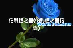 伯利恒之星(伯利恒之星花语)