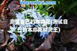 测试自己的本花(测试自己的本花精灵王)