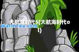 大航海时代5(大航海时代ol)