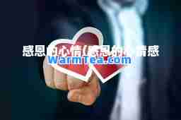 感恩的心情(感恩的心情感)