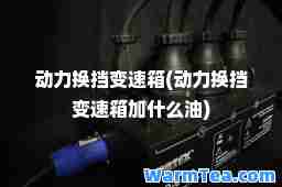 动力换挡变速箱(动力换挡变速箱加什么油) 动力换挡变速箱(动力换挡变速箱加什么油)
