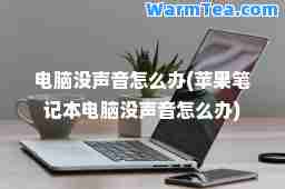 电脑没声音怎么办(苹果笔记本电脑没声音怎么办)