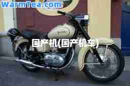 国产机(国产机车)