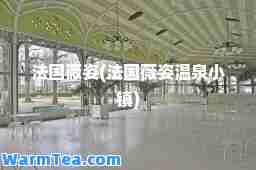 法国薇姿(法国薇姿温泉小镇)