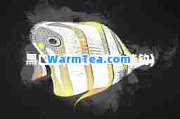 黑口鱼(黑口鱼多少能钓)