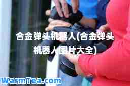 金弹头机器人(金弹头机器人图片大全)