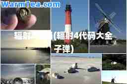 辐射4代码(辐射4代码大全子弹)