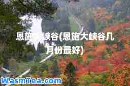 恩施大峡谷(恩施大峡谷几月份最好)