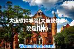 大连软件学院(大连软件学院是几本)
