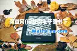 得益网(得益网电子图书下载)