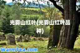 光雾山红叶(光雾山红叶品种)