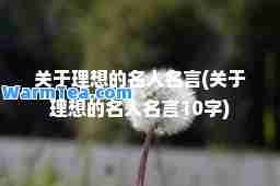 关于理想的名人名言(关于理想的名人名言10字)