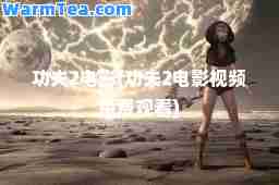功夫2电影(功夫2电影视频免费观看)