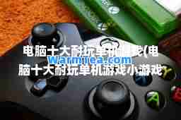 电脑十大耐玩单机游戏(电脑十大耐玩单机游戏小游戏)