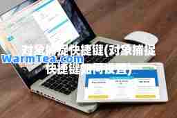 对象捕捉快捷键(对象捕捉快捷键如何设置)
