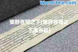柴静苍穹之下(柴静苍穹之下演讲稿)