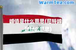 峰值是什么意思(尼特峰值是什么意思)