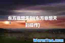 东方非想天则(东方非想天则操作)