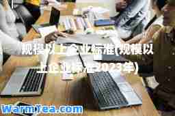 规模以上企业标准(规模以上企业标准2023年)