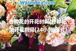 各种花的开花时间(各种花的开花时间(24小时)图片)