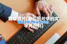裁切图片(裁切图片中的文字并识别)