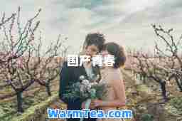 国产青春
