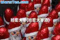 哈密大枣(哈密大枣酒)