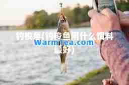 钓梭鱼(钓梭鱼用什么饵料最好)
