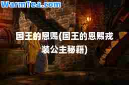 国王的恩赐(国王的恩赐戎装公主秘籍)