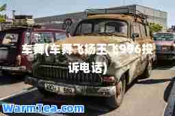 车舞(车舞飞扬王飞996投诉电话)