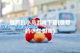 愤怒的小鸟游戏下载(愤怒的小鸟 游戏)