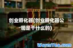 创业孵化器(创业孵化器公司是干什么的)