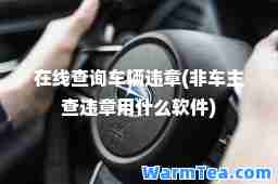 在线查询车辆违章(非车主查违章用什么软件)