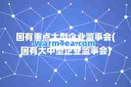 国有重点大型企业监事会(国有大中型企业监事会)