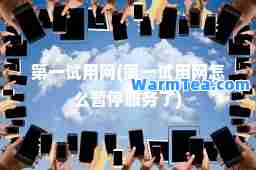 试用网(试用网怎么暂停服务了)
