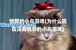 愤怒的小鸟游戏(为什么现在没有愤怒的小鸟游戏)
