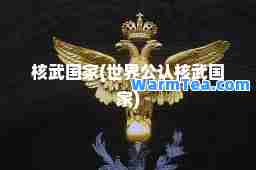 核武国家(世界公认核武国家)